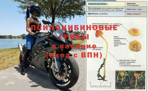 jwh Алзамай
