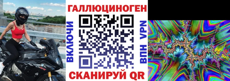 Купить  Коркино  Псилоцибиновые грибы Psilocybine cubensis 
